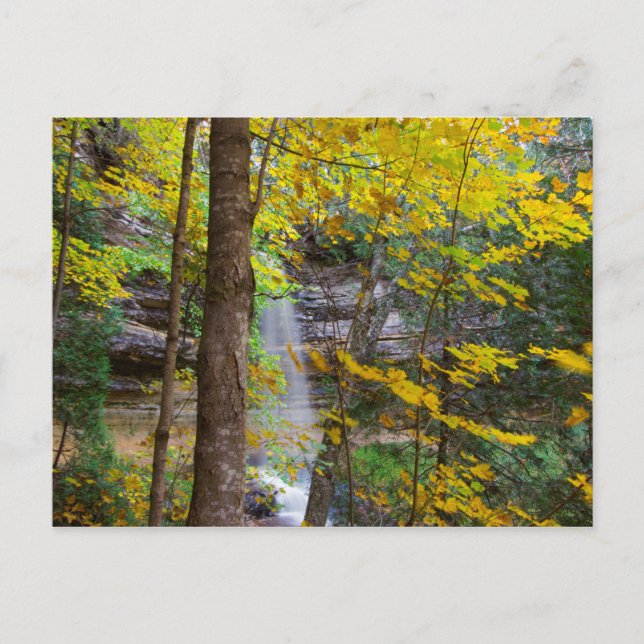 Munising falls in Fall, Munising, Michigan Postcard (Front)