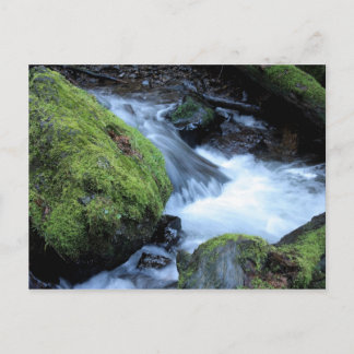 Munson Creek Postcard