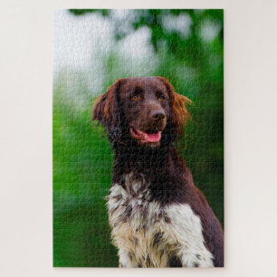 Munsterlander Dog. Jigsaw Puzzle