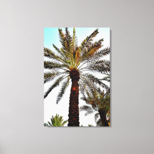 Murabba Palace Date Tree Canvas Print