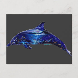 Mural In Dolphin Postcard