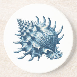 Murex Shell Nautical Coaster