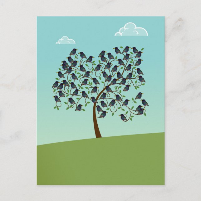 Murmuration of Starlings Postcard (Front)