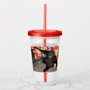 Murphy Acrylic Tumbler