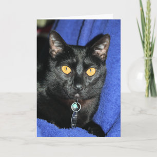 Murphy Card