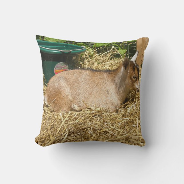 Murphy Cushion (Front)