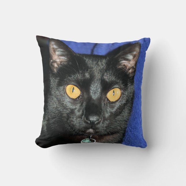 Murphy Cushion (Front)