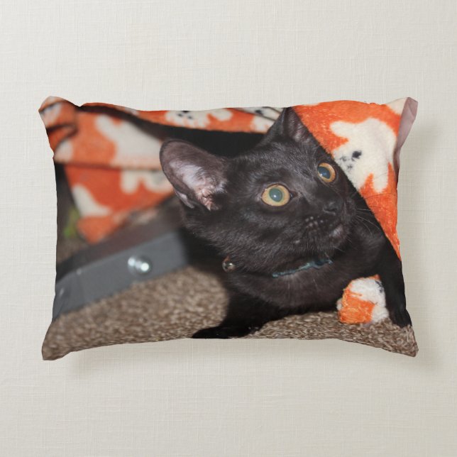 Murphy  decorative cushion (Front)