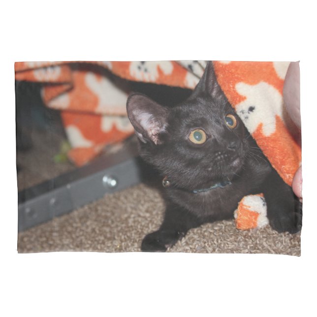 Murphy   pillowcase (Front)