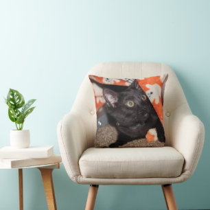 Murphy   throw pillow