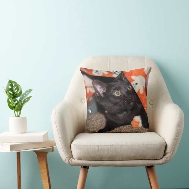 Murphy   throw pillow (Chair)