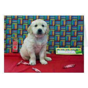 Murphy week 6