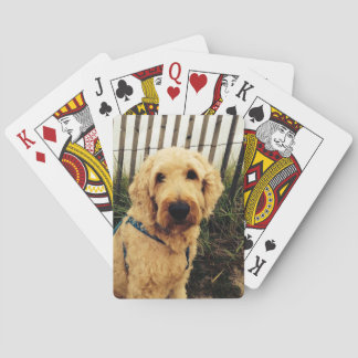 Murray Playing Cards