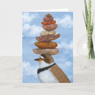 Murray the semipalmated plover card