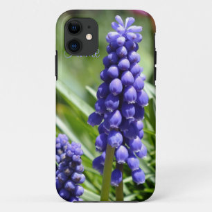 Muscari (Grape Hyacinth) iPhone 5 Case