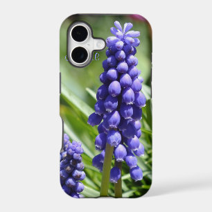 Muscari (Grape Hyacinth) iPhone 5 Case