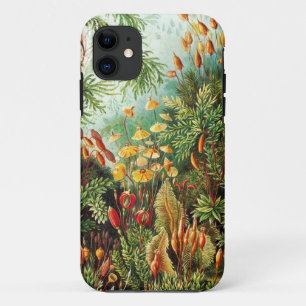 Muscinae illustration by Ernst Haeckel iPhone 11 Case
