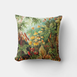 Muscinae illustration by Ernst Haeckel Cushion