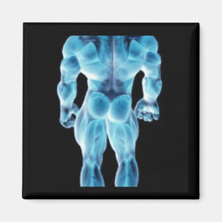 Musclar Skeletal Magnet