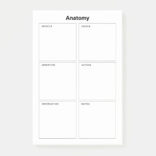 Muscle Anatomy Medical Nursing Student Post-it Notes