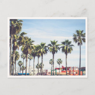 Muscle Beach Venice Beach California Palm Tree Postcard