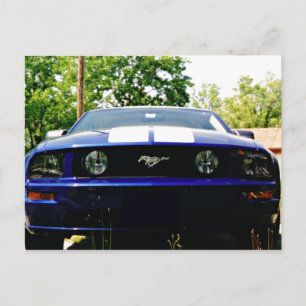 Muscle car- Shelby blue Postcard