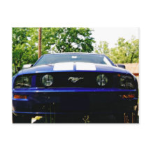 Muscle car- Shelby blue Postcard