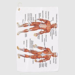 Muscle Diagram medgifts101 Golf Towel