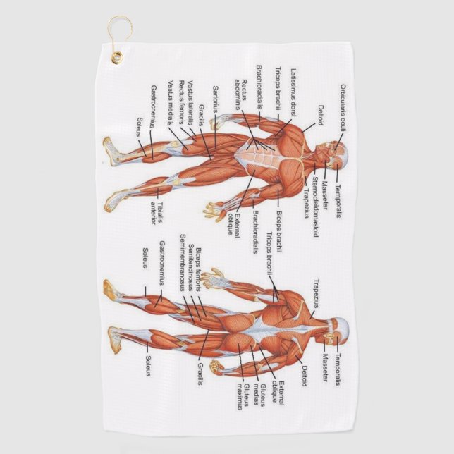 Muscle Diagram medgifts101 Golf Towel (Front)