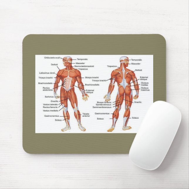 Muscle Diagram medgifts101 Mouse Mat (With Mouse)
