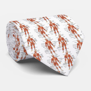 Muscle Diagram medgifts101 Tie