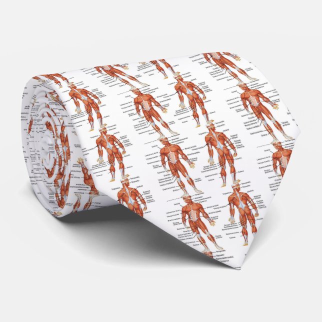 Muscle Diagram medgifts101 Tie (Rolled)