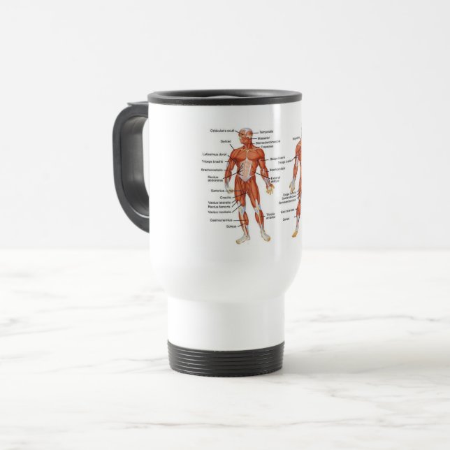 Muscle Diagram medgifts101 Travel Mug (Front Left)
