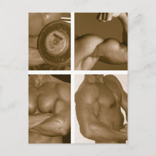 Muscle Flex: www.AriesArtist.com Postcard