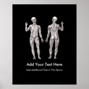 Muscle Men - Anatomy of the Human Muscular System Poster