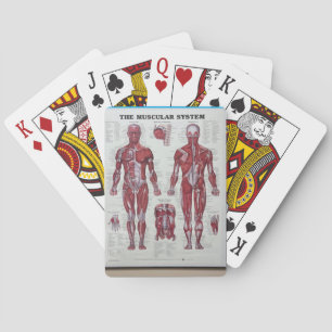 Muscle n body playing cards