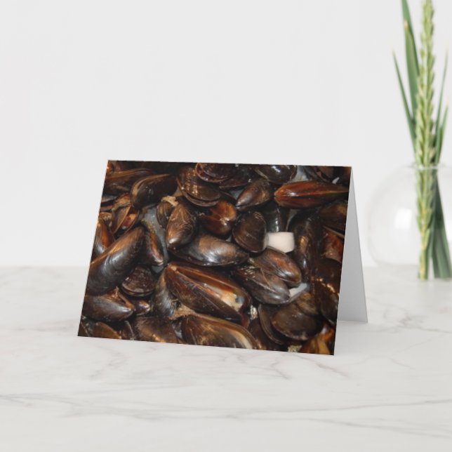 muscles card (Front)