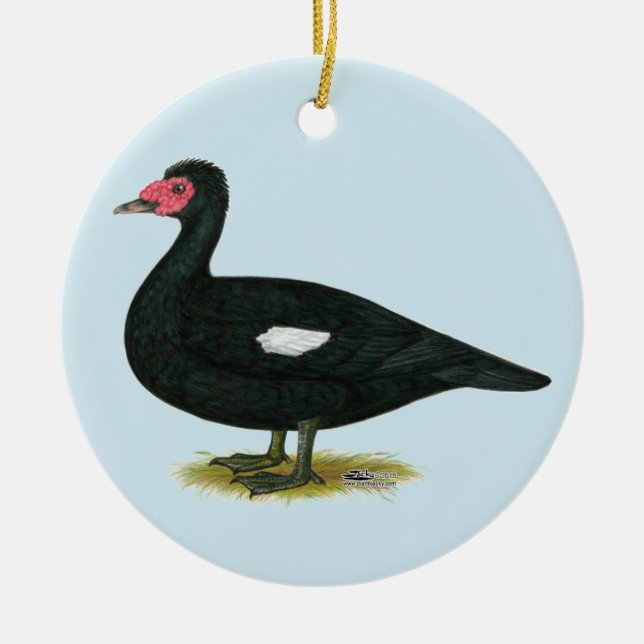 Muscovy Black Drake Ceramic Tree Decoration (Front)