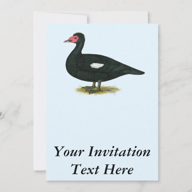 Muscovy Black Drake Invitation (Front)