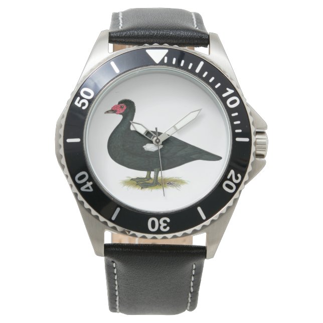Muscovy Black Drake Watch (Front)