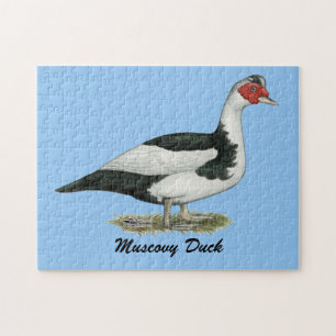 Muscovy Black Pied Drake Jigsaw Puzzle