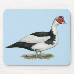 Muscovy Black Pied Drake Mouse Mat