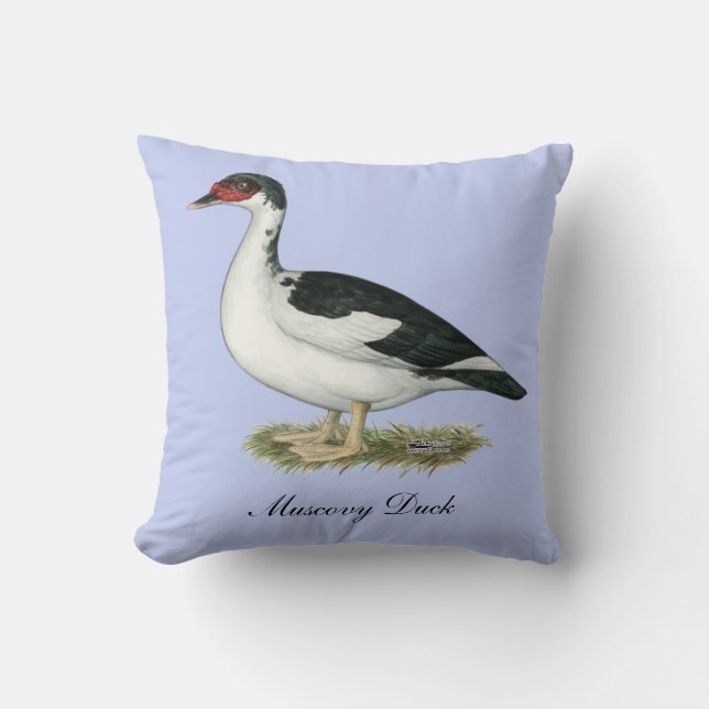 Muscovy Black Pied Duck Cushion (Front)