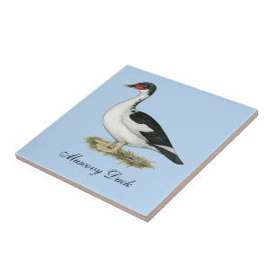 Muscovy Black Pied Duck Tile
