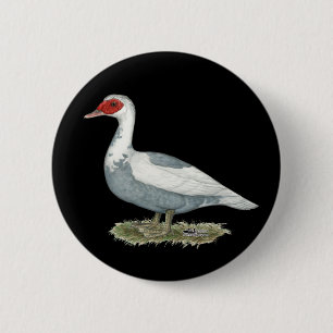 Muscovy Blue Pied Duck 6 Cm Round Badge