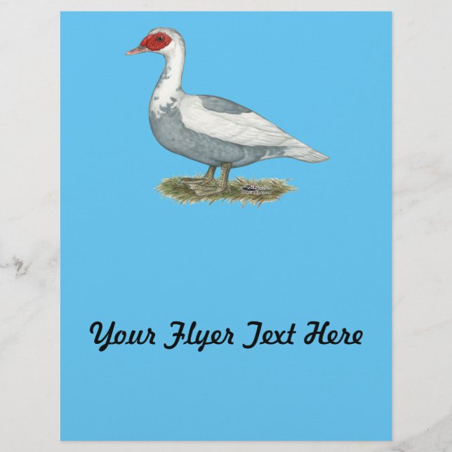 Muscovy Blue Pied Duck Flyer (Front)