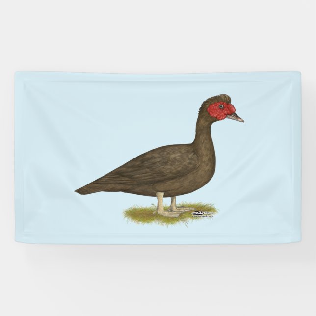 Muscovy Drake Chocolate Banner (Horizontal)