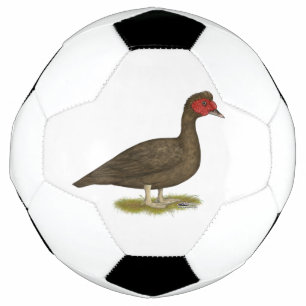 Muscovy Drake Chocolate Football