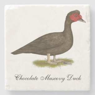 Muscovy Drake Chocolate Stone Coaster