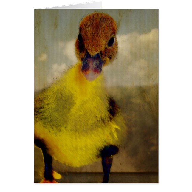 Muscovy Dreamin' (Front)